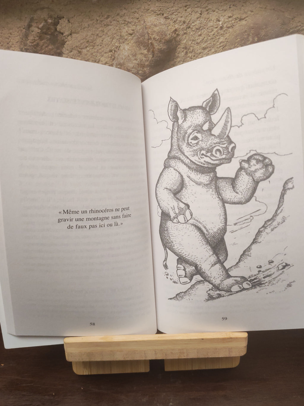 Un Succes de Rhinoceros