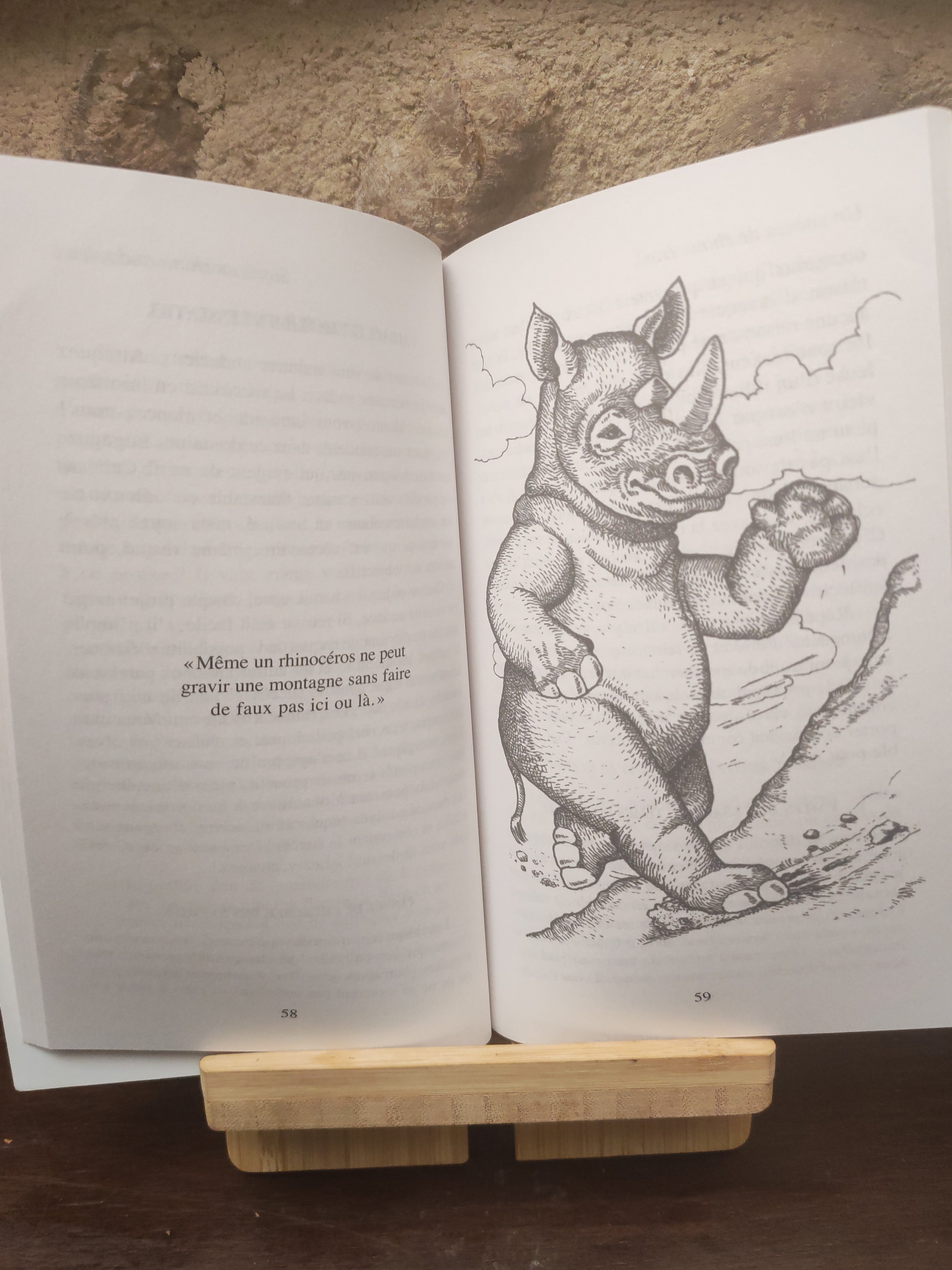 Un Succes de Rhinoceros