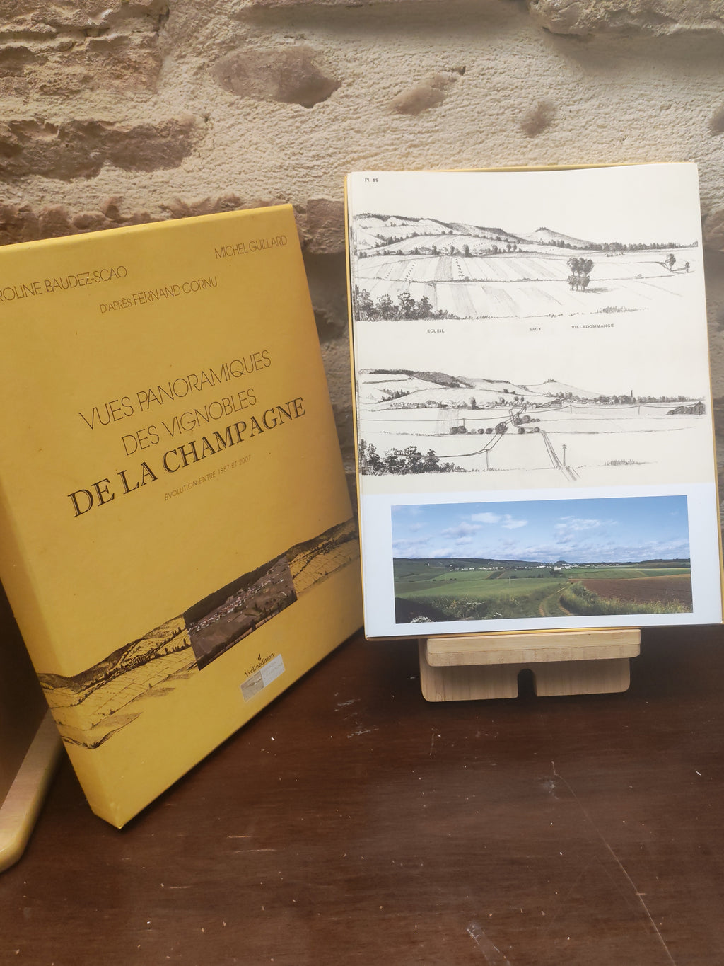 Vues panoramiques des vignobles de la Champagne : évolution entre 1887 et 2007 — beau livre d'occasion — photo 3 | Le Rayon Secret